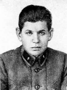 Д.  И.  Рябышев